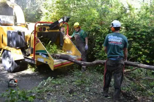 tree services Sutherland